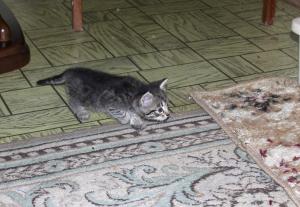 DSC_0125_1.jpg
