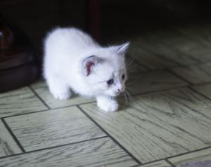DSC_0114_1.jpg
