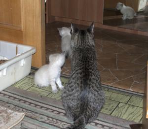 DSC_0124_1.jpg