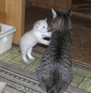 DSC_0130_1.jpg