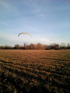 IMG_20161106_154948.jpg