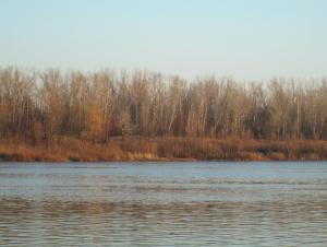 IMG_0038.JPG