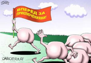 лоси.jpg