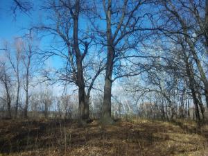 IMG_20171109_115641.jpg