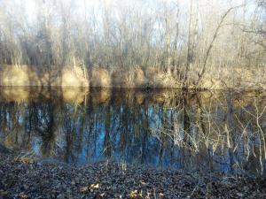 IMG_20171109_145956_BURST2.jpg