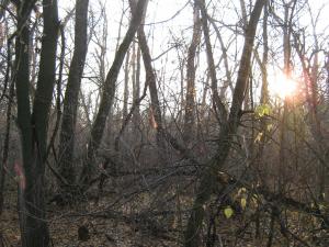 IMG_5724.JPG