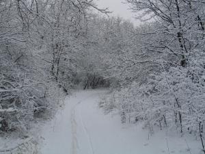 image004.jpg