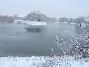 image010.jpg