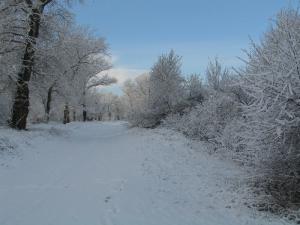 image031.jpg