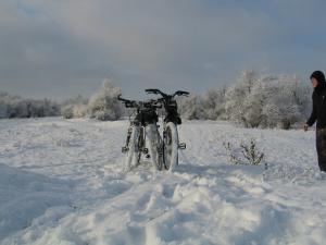 image036.jpg