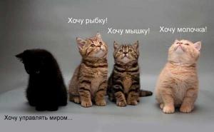 желайте невозможного....jpg