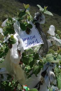 53. Орион на Мангупе!.JPG