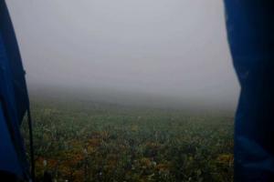 20120728_171239.jpg