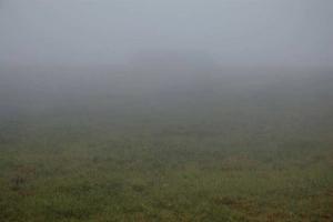 20120728_163555.jpg