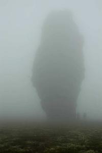 20120801_131158.jpg
