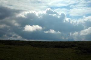 20120731_182659.jpg