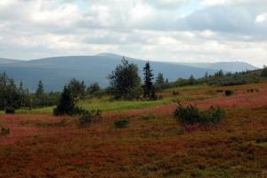 20120801_153158.jpg