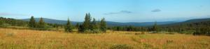 20120802_095450_Group 3 images.jpg