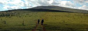 20120803_103400_Group 2 images.jpg