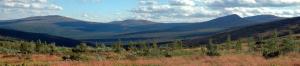 20120803_190931_Group 4 images.jpg