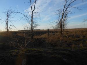 DSCN0446.JPG