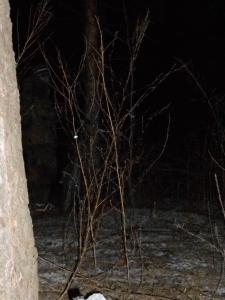 DSCN0502.JPG
