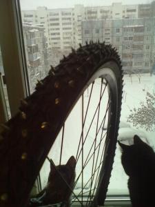 501069_view.jpeg