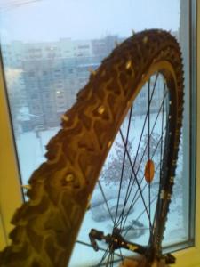 501072_view.jpeg