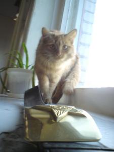 20110403-120803-139.JPG