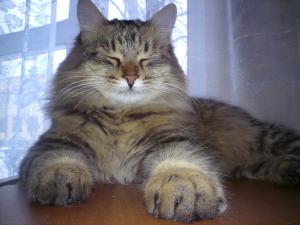 20110205-134956.JPG