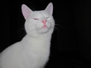 IMG_0047.JPG