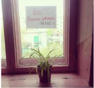 1414925141_18-smeshnye-nadpisi-kartinki-20141102.jpg
