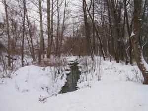 IMG_20161204_101346.jpg