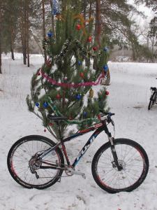 IMG_6844M.JPG