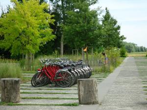20150805-152455.JPG