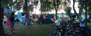 20150805-221606_20150805-221614-2 images.jpg