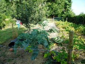 20150807-194046.JPG