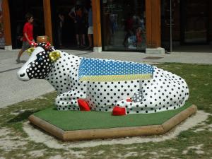 20150805-154147.JPG