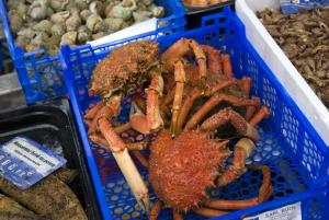 20150806-111855.jpg