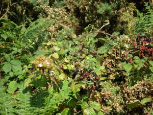 20150804-111712.JPG