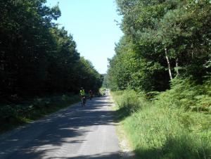 20150807-141442.JPG