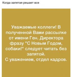 Год собаки!.jpg