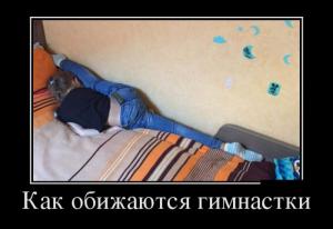 гимнастки.jpeg