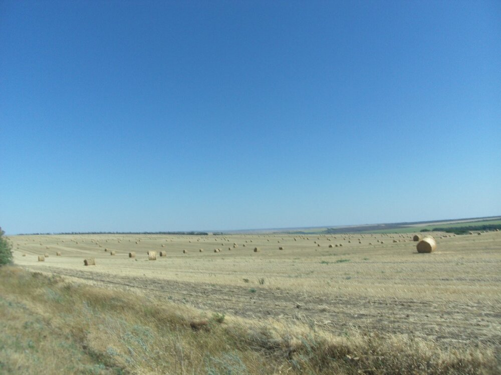 GEDC0047.JPG