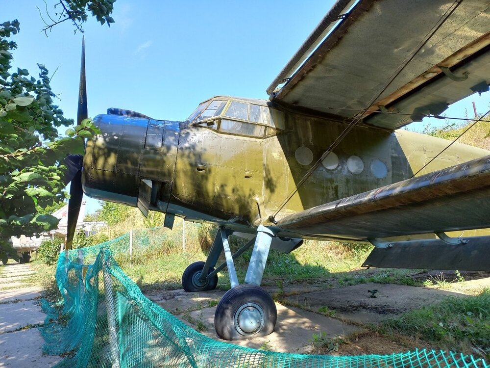 h-2533.jpg