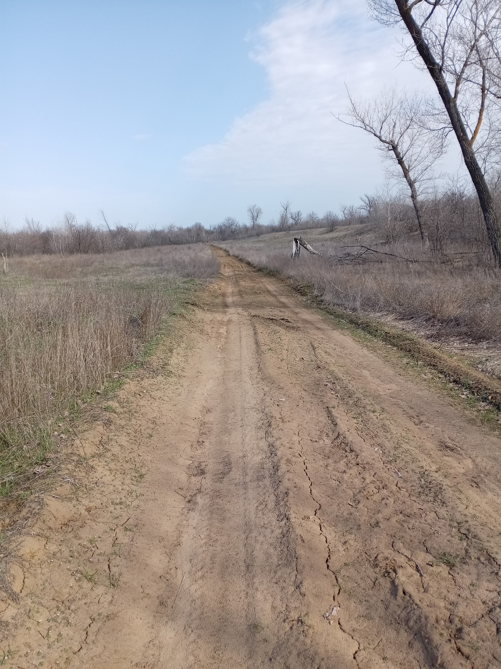 auto_zagruzka_iz_vk_40722_457262417