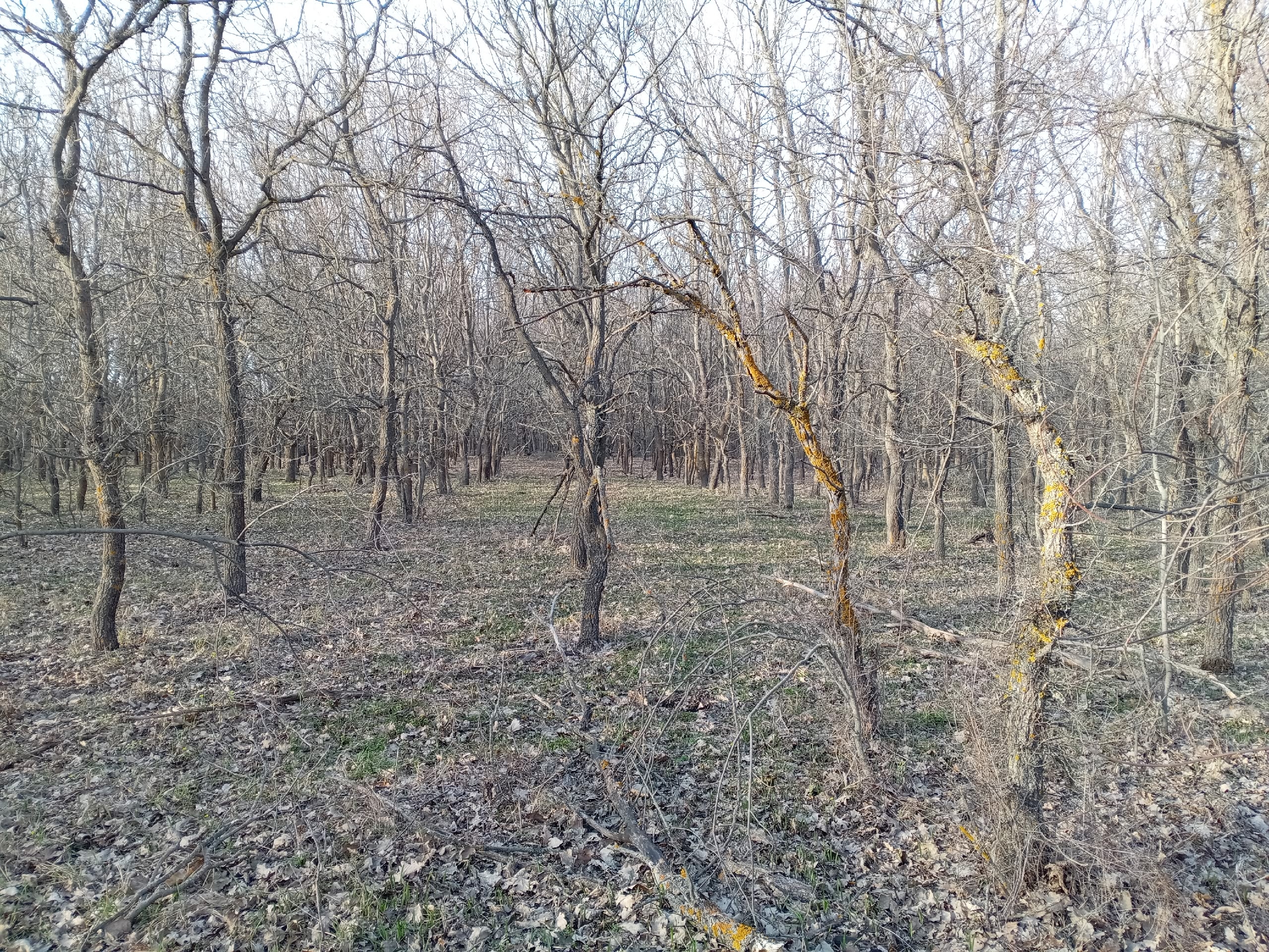 auto_zagruzka_iz_vk_40732_457262419