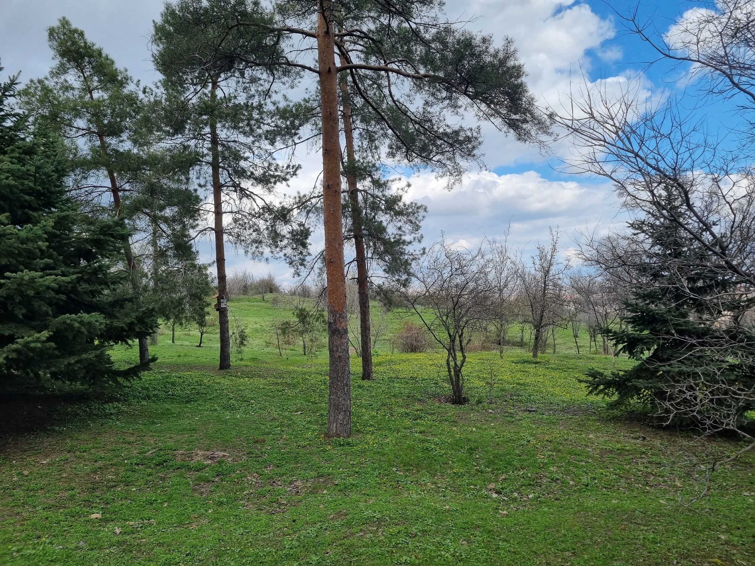 auto_zagruzka_iz_vk_41024_457262707