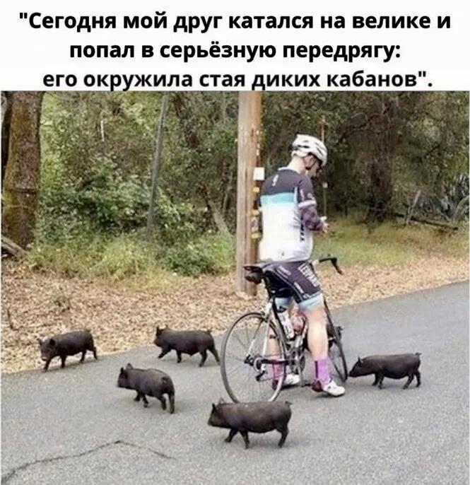 auto_zagruzka_iz_vk_41067_457262779