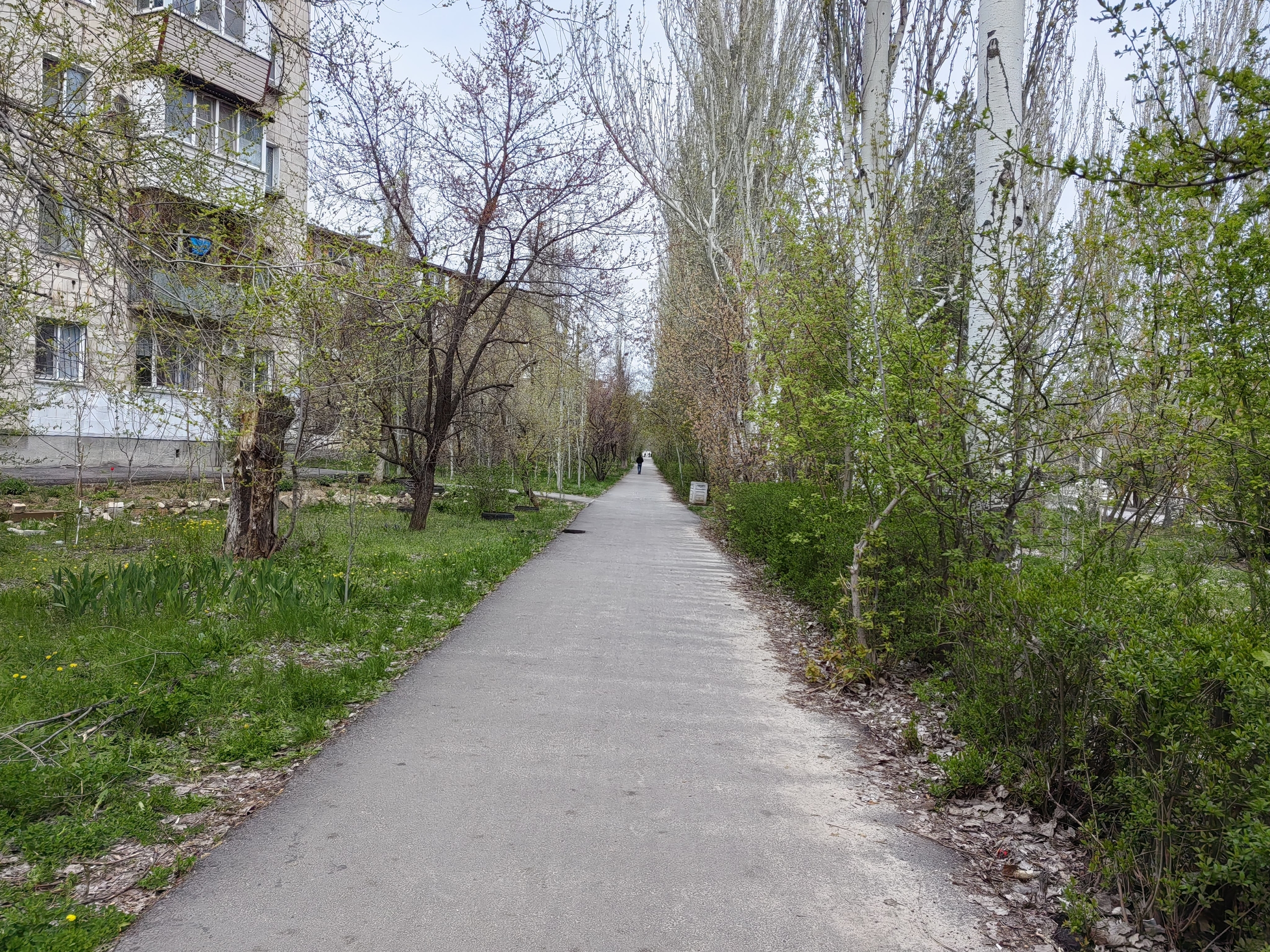 auto_zagruzka_iz_vk_41169_457262886